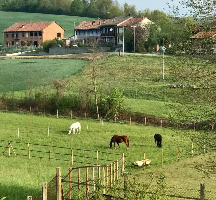Roatto Appartamento In Cascina -La Cascinetta Di Ali- מראה חיצוני תמונה